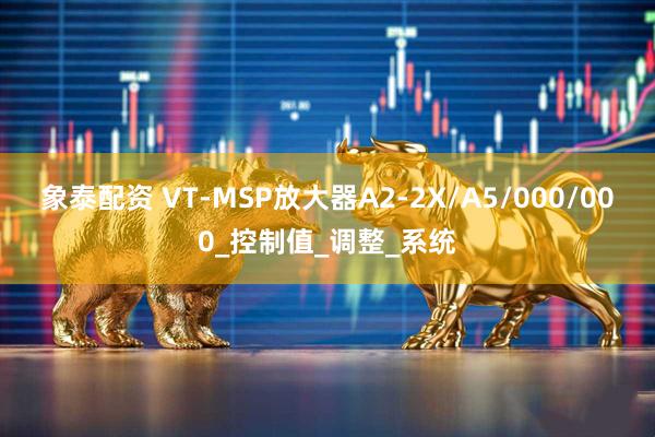 象泰配资 VT-MSP放大器A2-2X/A5/000/000_控制值_调整_系统