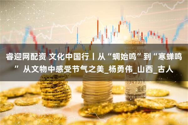睿迎网配资 文化中国行丨从“蜩始鸣”到“寒蝉鸣” 从文物中感受节气之美_杨勇伟_山西_古人